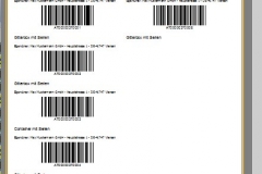 Barcodedruck